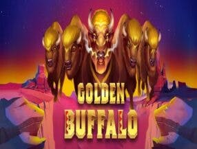 qual o melhor horario para jogar fortune tiger